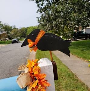 Meet your Posher, Julie